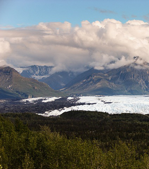 云呼网页版免费试用