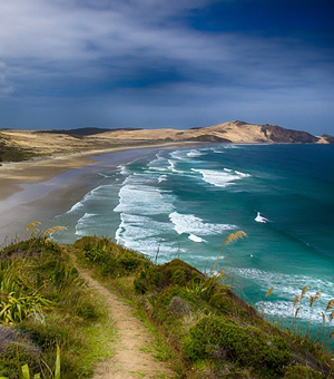 云呼网页版免费试用